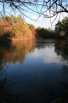 picture of Box Pond