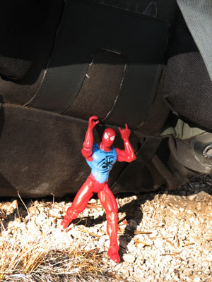 picture of spidey