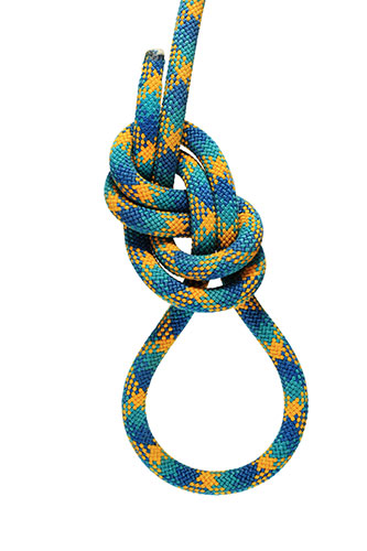 picture of figure eight knot