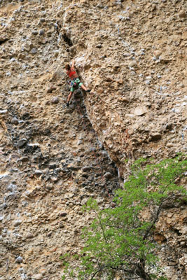 picture of climber