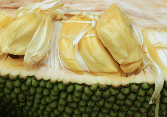 picture of Jackfruit