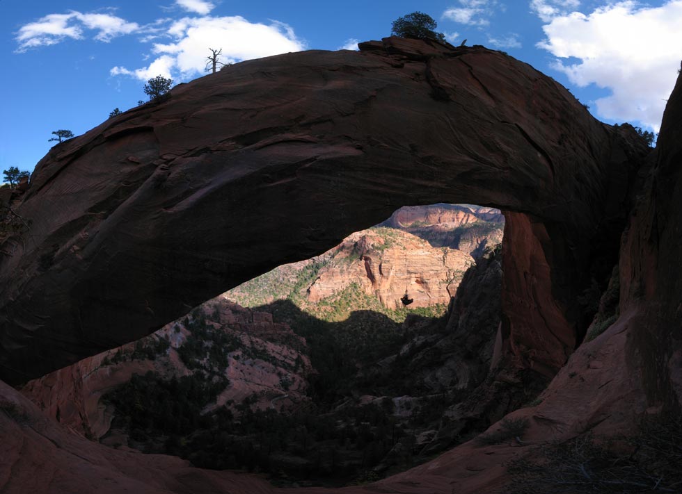 picture of Kolob Arch