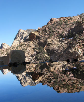 picture of reflection