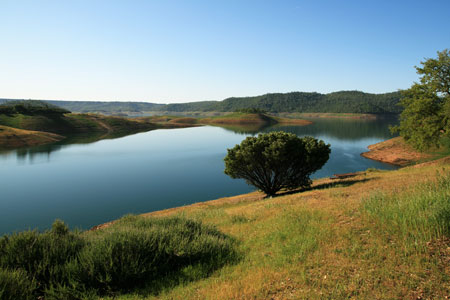 picture of New Melones Lake