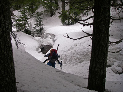 picture of Rainier trip