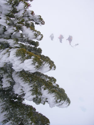 picture of Rainier trip