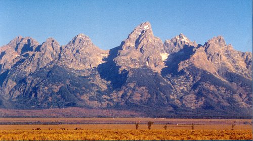 picture of Tetons 