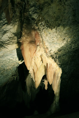 picture of speleothems