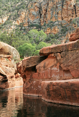 picture of swimming hole