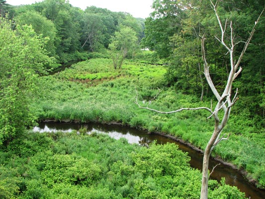 picture of Waban Brook