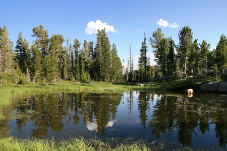 picture of pond