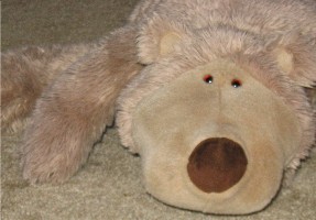 picture of wookie