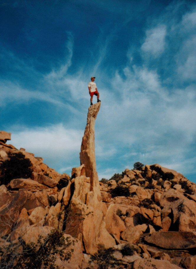 picture of Aiguille de J Tree