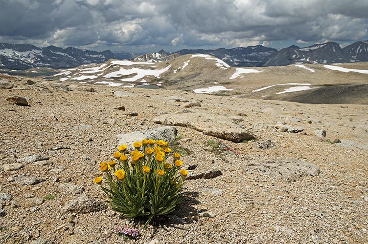 picture of Sierra