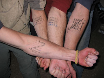 picture of forearms 