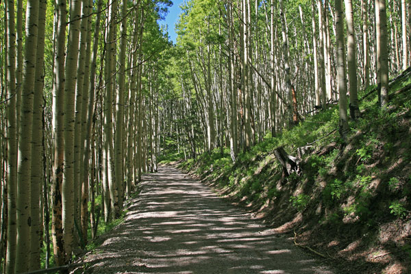 picture of road
