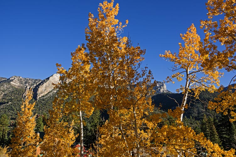 picture of mountain