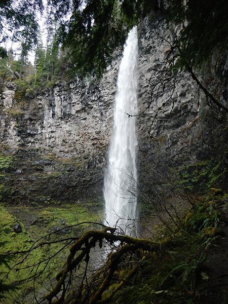 picture of Expedition Oregon 2022