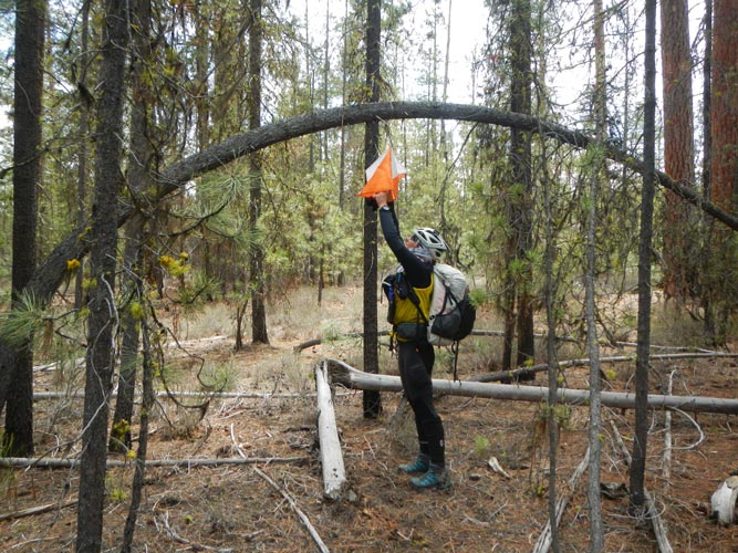 picture of Expedition Oregon 2022