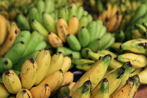 picture of bananas