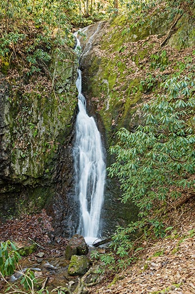 picture of backbone falls