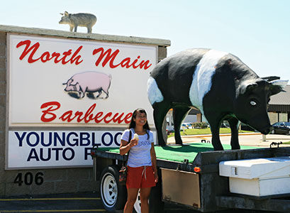 picture of bbq