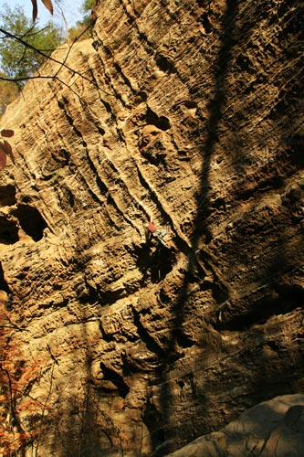 picture of rrg