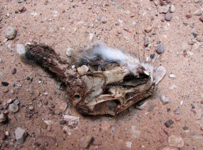 picture of utah