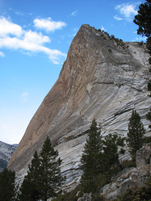 picture of Charlotte dome