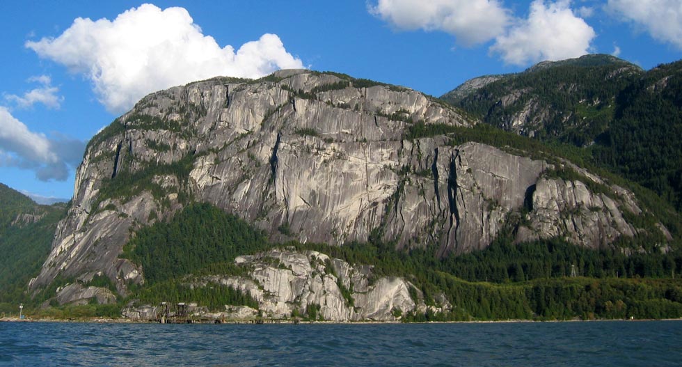 picture of Chief