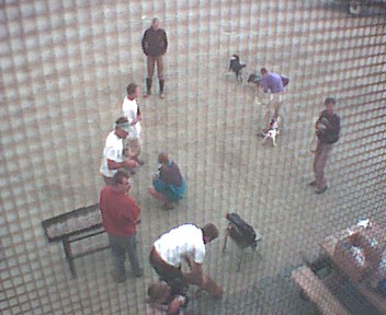 Picture of people from window