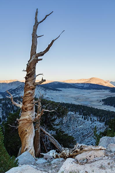 picture of sierra challenge