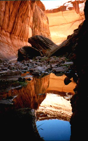 picture of reflection