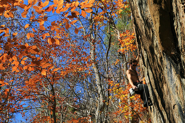 picture of rock climber