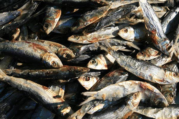 picture of thai food