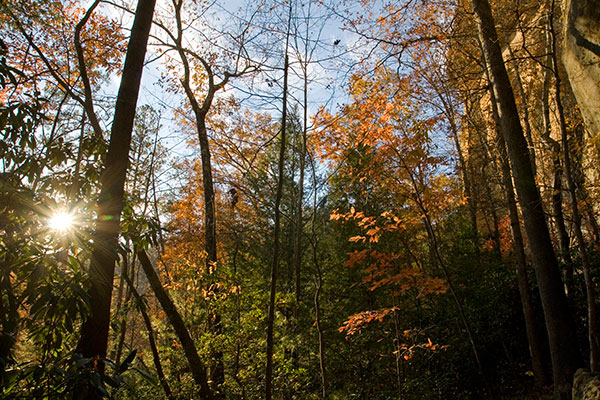 picture of the Red River Gorge