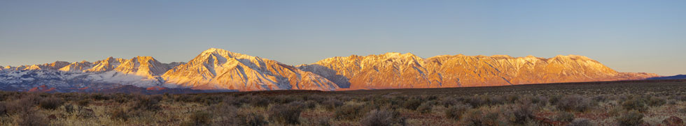 picture of Bishop