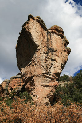 picture of Enchanted Tower