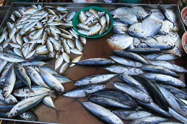picture of thai food