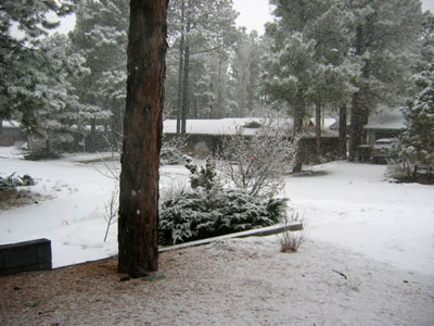 picture of snow
