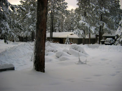 picture of snow