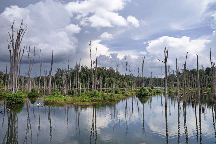 picture of Laos