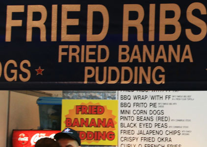 picture of fried stuff