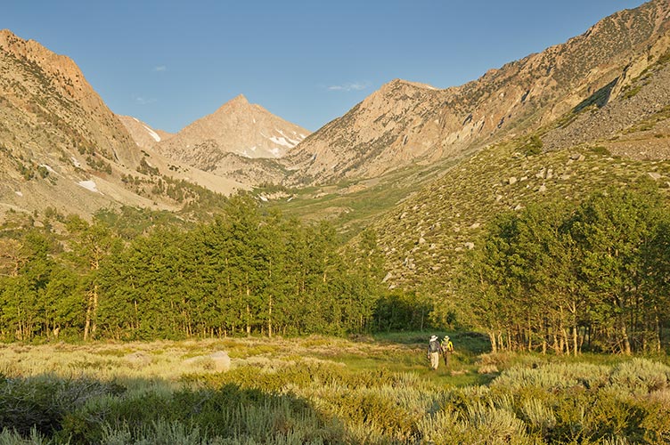 picture of Sierra