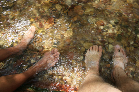 picture of feet