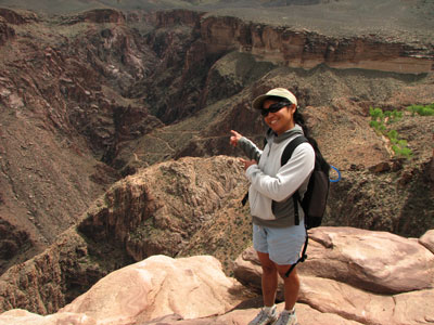 picture of grand canyon