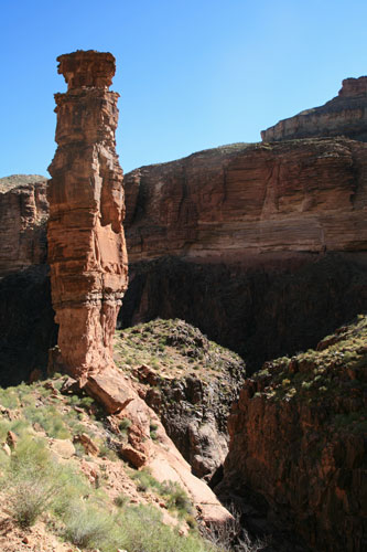 picture of the Grand Canyon