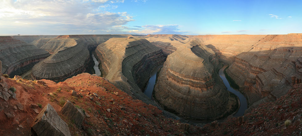 picture of Goosenecks