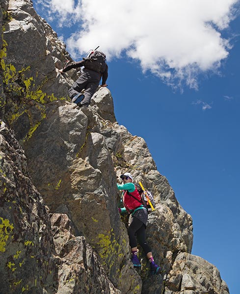 picture of Mt Goddard
