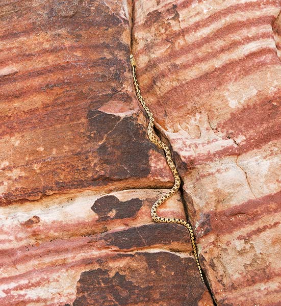 picture of red rocks